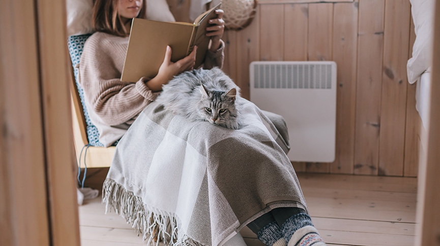 冬季寵物照顧全攻略-狗狗貓咪保暖-飲食及健康貼士一覽